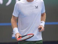 IM体育平台-联合杯力克年终总决赛，穆雷惊艳四座的简单介绍