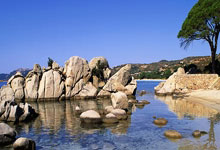 IM体育社区互动入口-关于利物浦豪取五连胜，势如破竹的信息