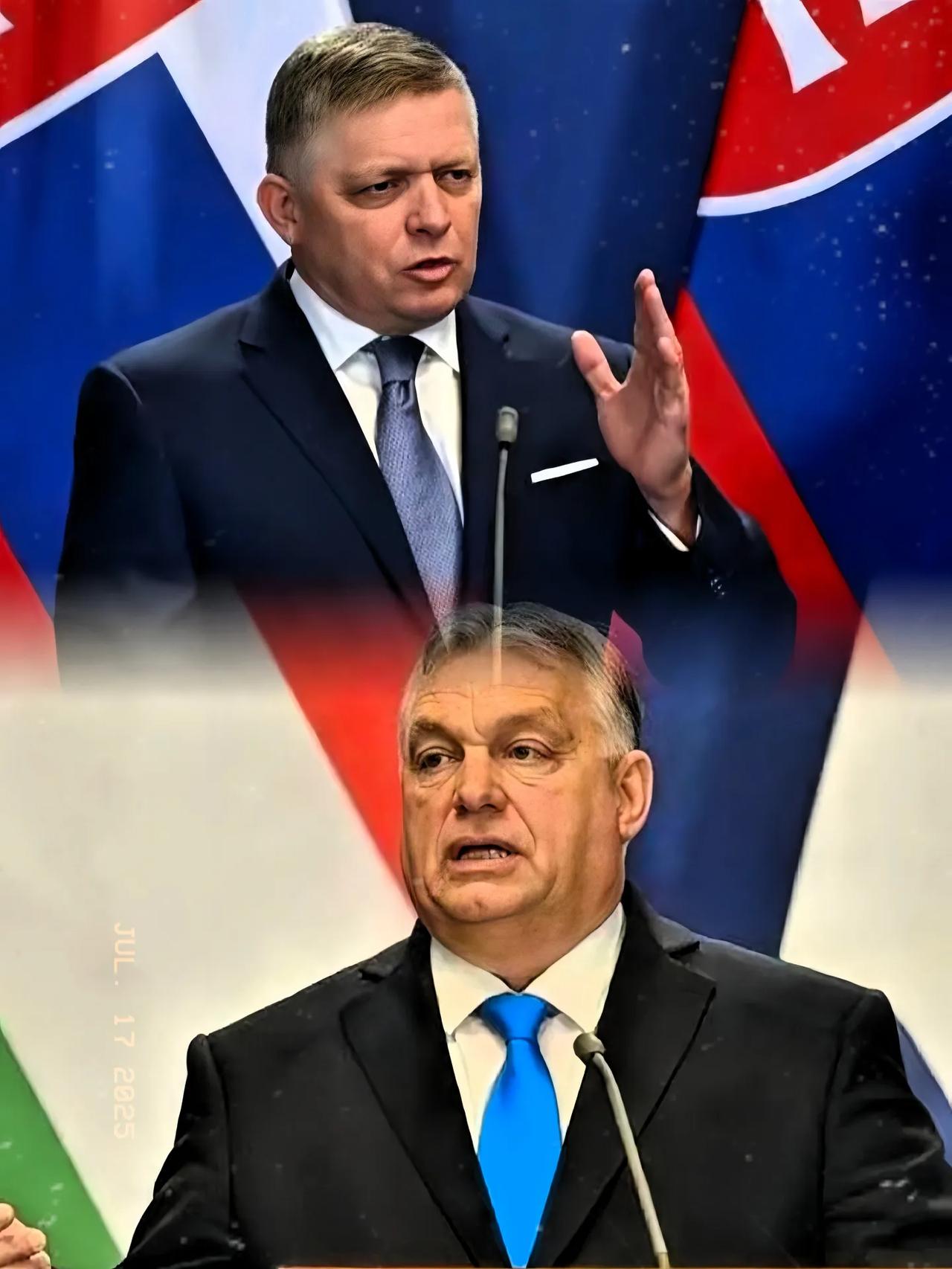 IM体育官方网站-包含匈牙利队惨遭淘汰,实力不济困扰不断的词条