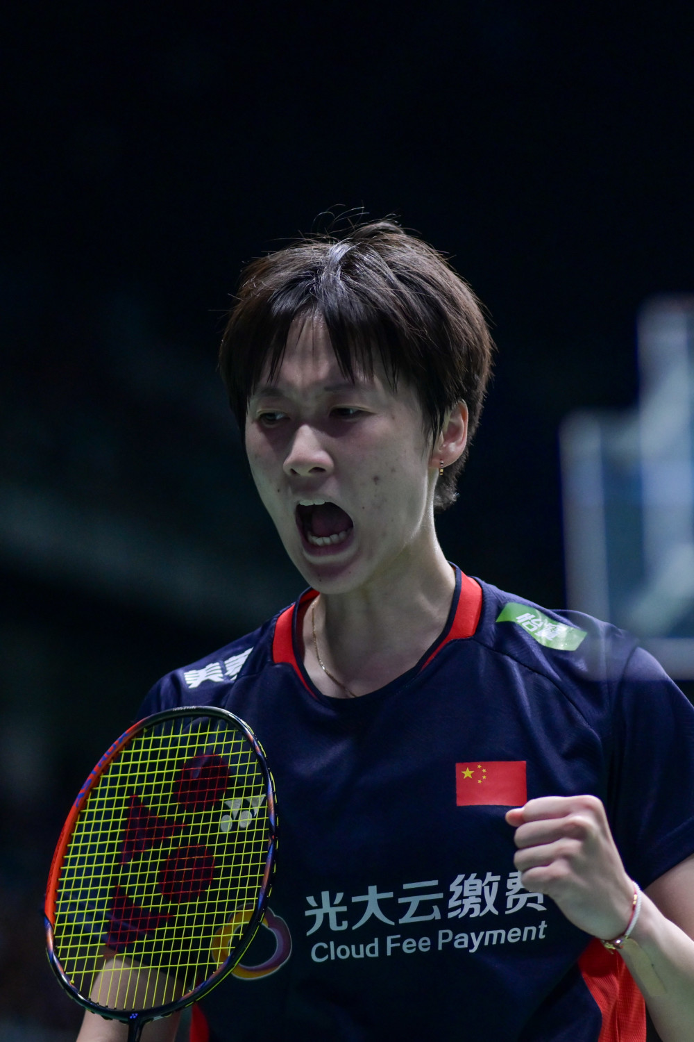 IM体育App下载-马来西亚队翻盘泰国队，陈雨菲惊艳四座的简单介绍